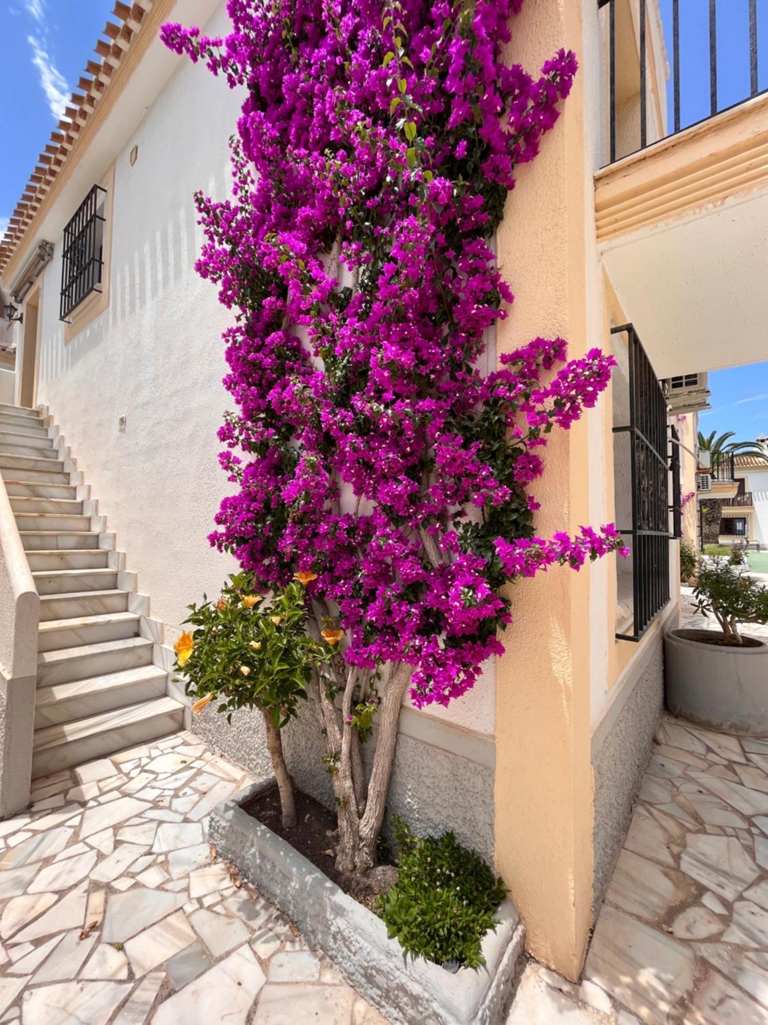 Apartamento Esquina Verde En Vera Coast Playas de Vera 外观 照片