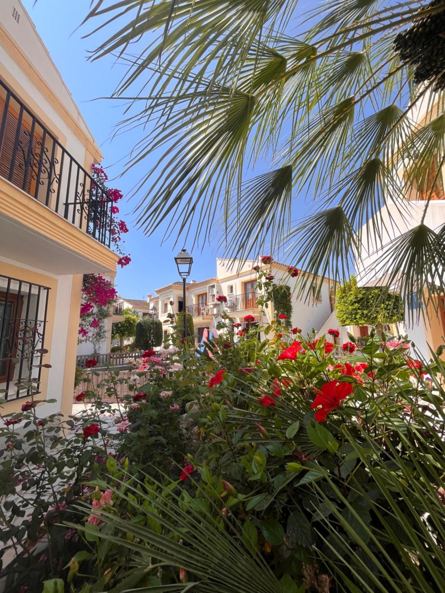 Apartamento Esquina Verde En Vera Coast Playas de Vera 外观 照片