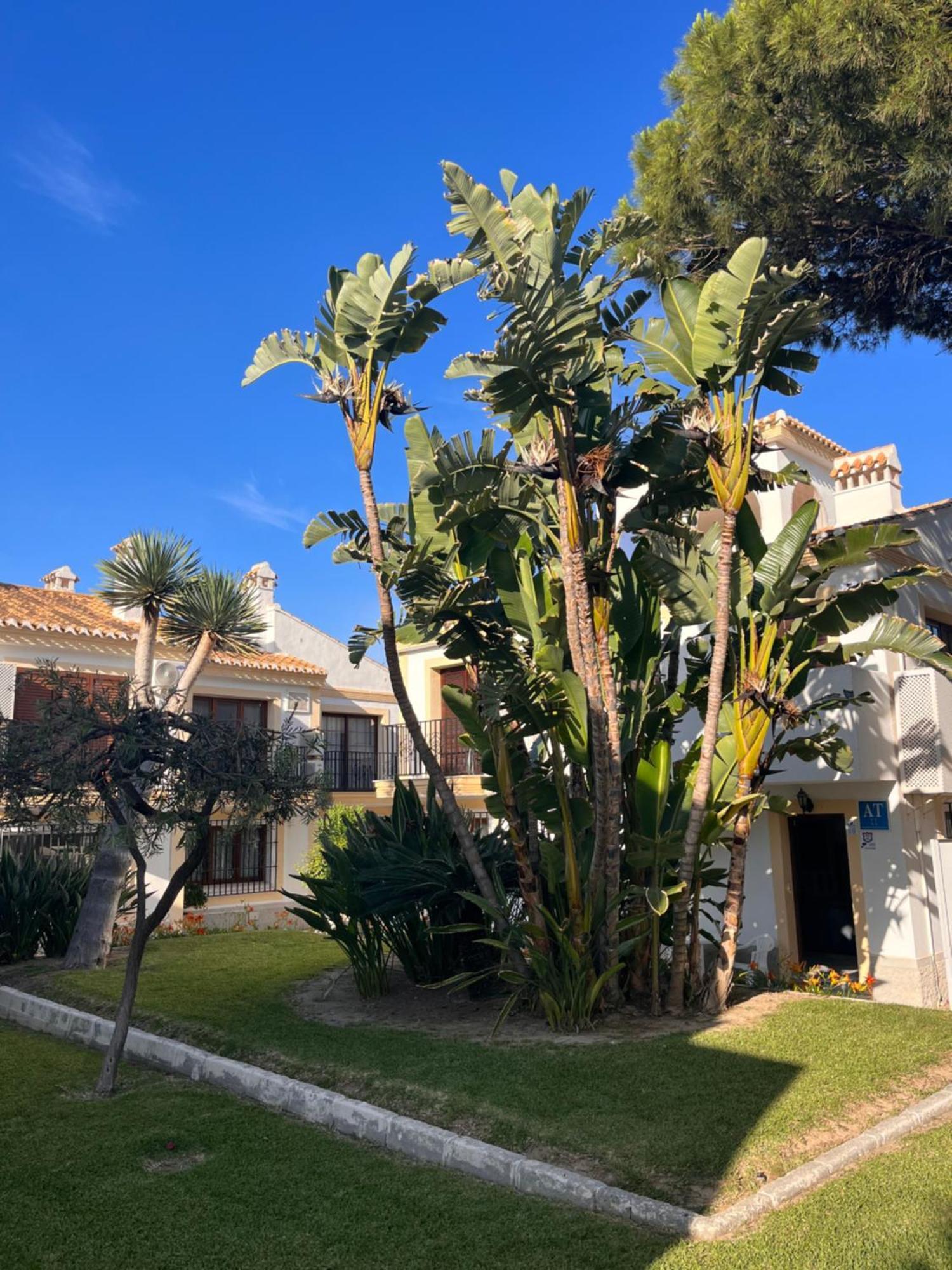 Apartamento Esquina Verde En Vera Coast Playas de Vera 外观 照片