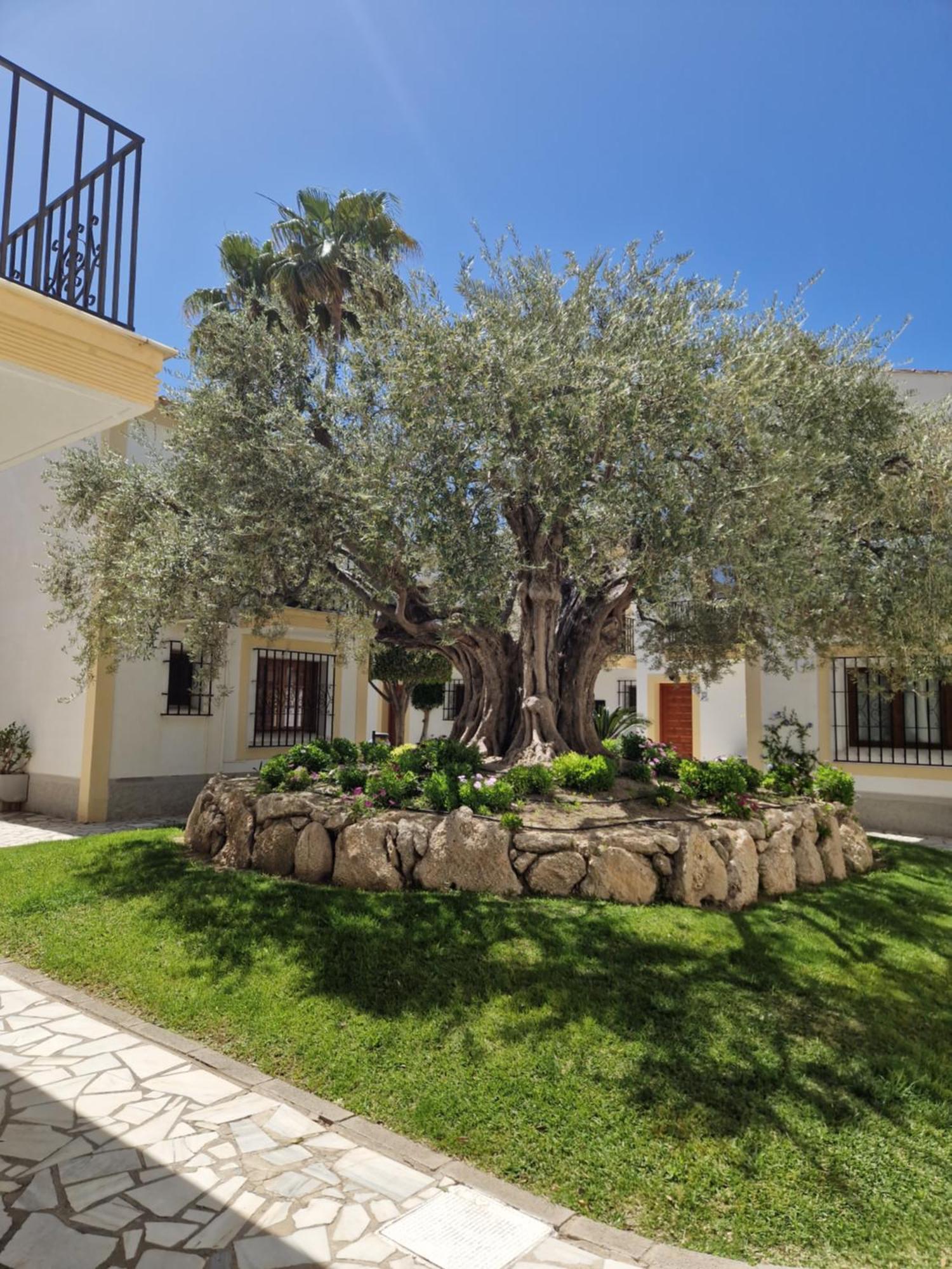 Apartamento Esquina Verde En Vera Coast Playas de Vera 外观 照片
