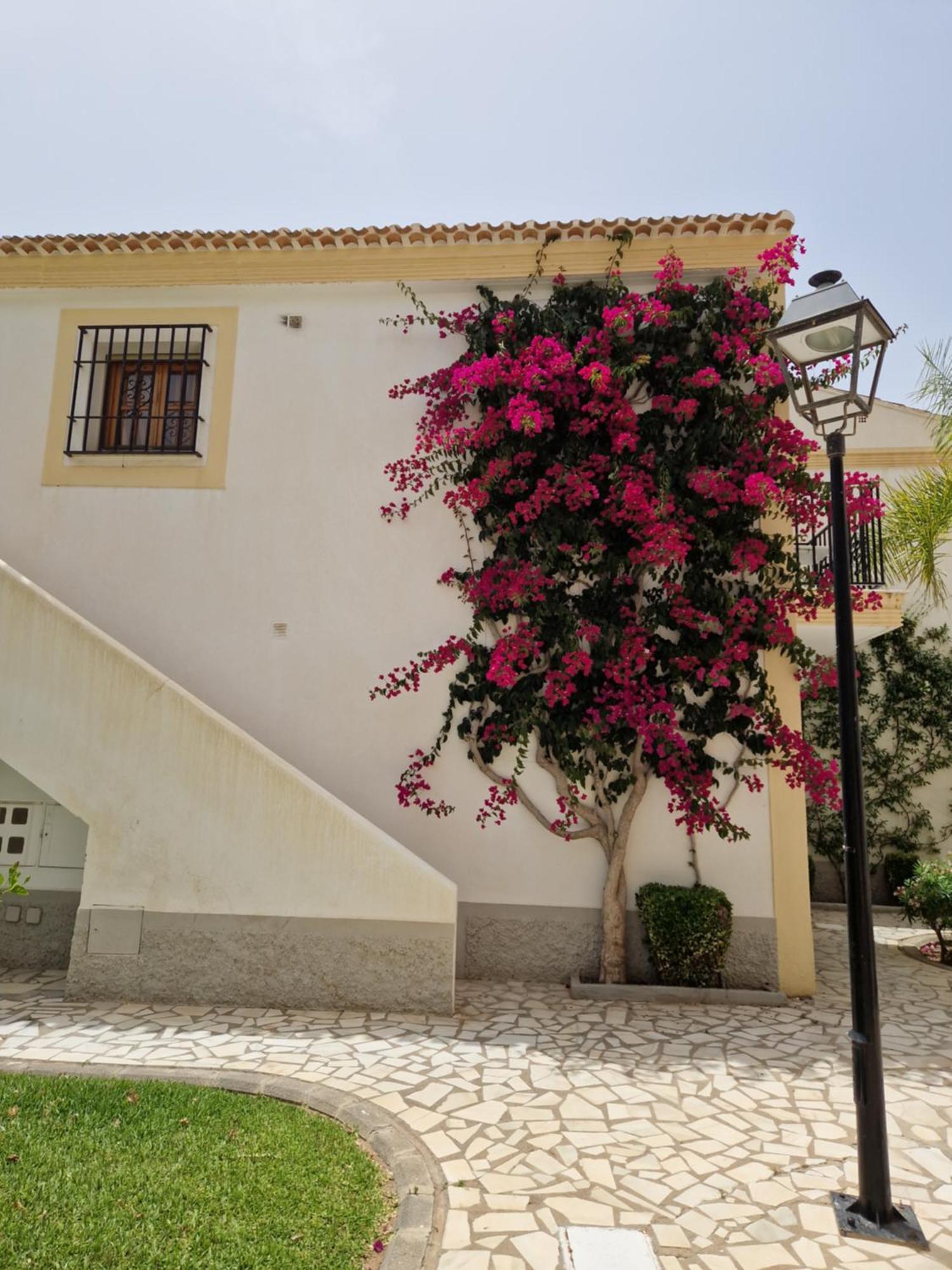 Apartamento Esquina Verde En Vera Coast Playas de Vera 外观 照片